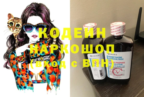 дмт Абаза