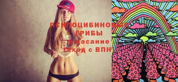 дмт Абаза