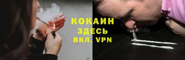 твердый Магас