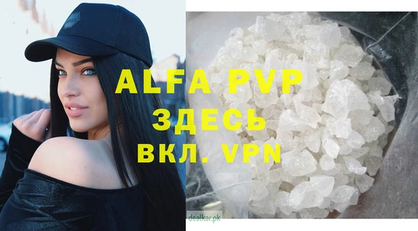 дмт Абаза