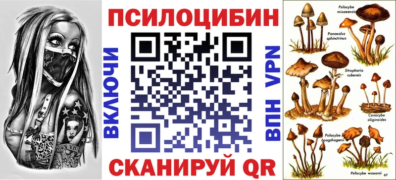наркотики  Абинск  Галлюциногенные грибы ЛСД 
