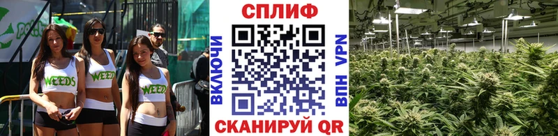 кракен как войти  Абинск  Бошки марихуана гибрид 